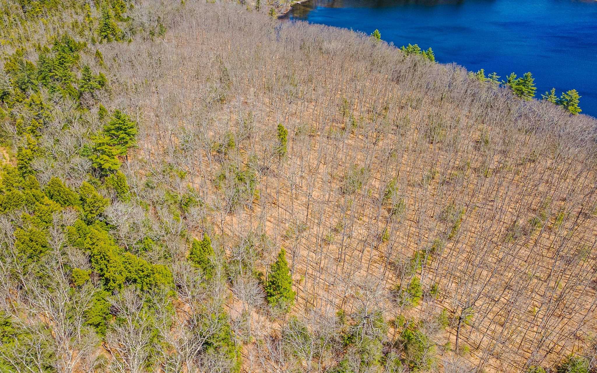 00 forest Road