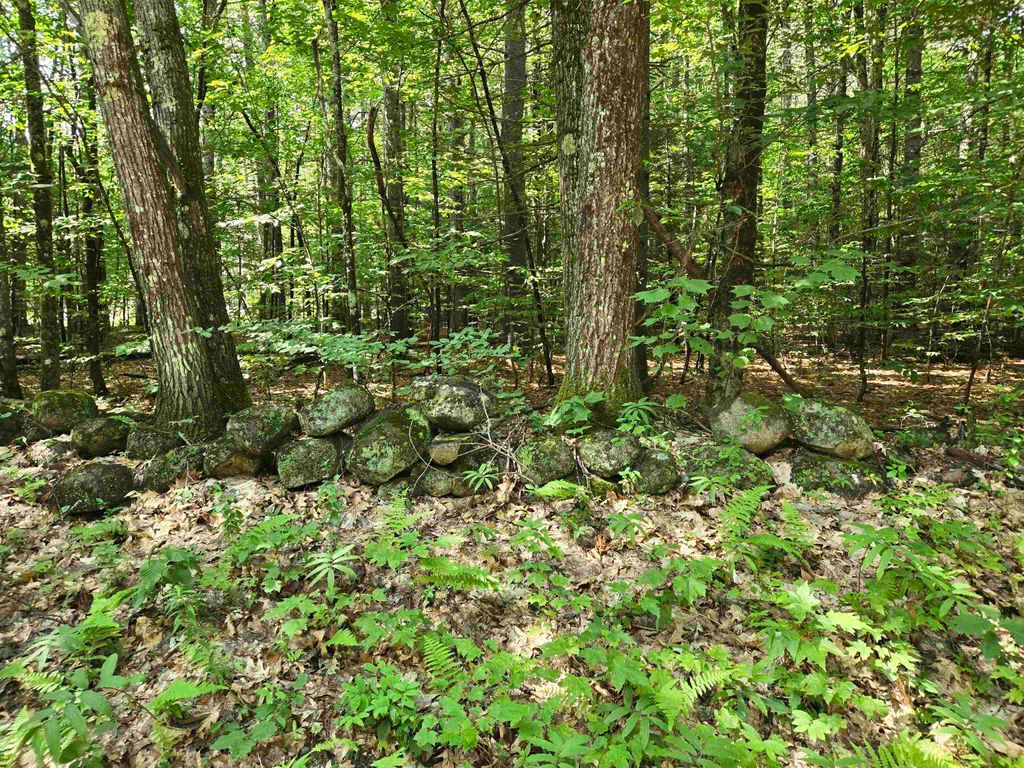 Photo of 26 Davis Hill Road, Conway, NH 03813 (MLS # 5100796)