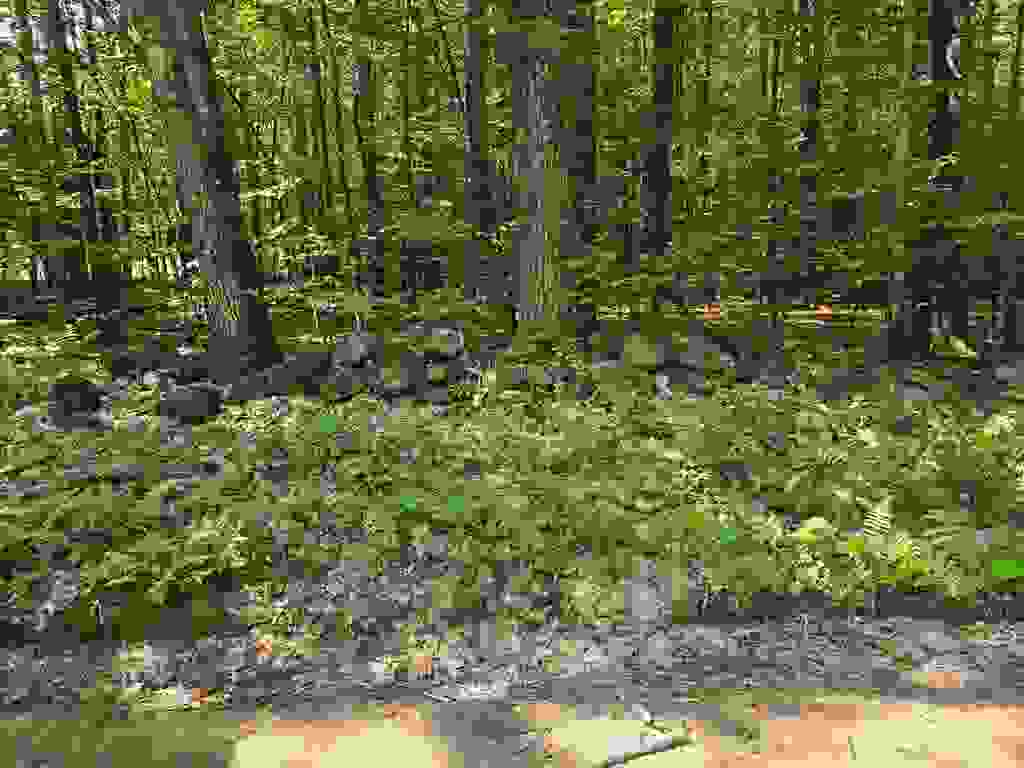 Photo of 26 Davis Hill Road, Conway, NH 03813 (MLS # 5100796)