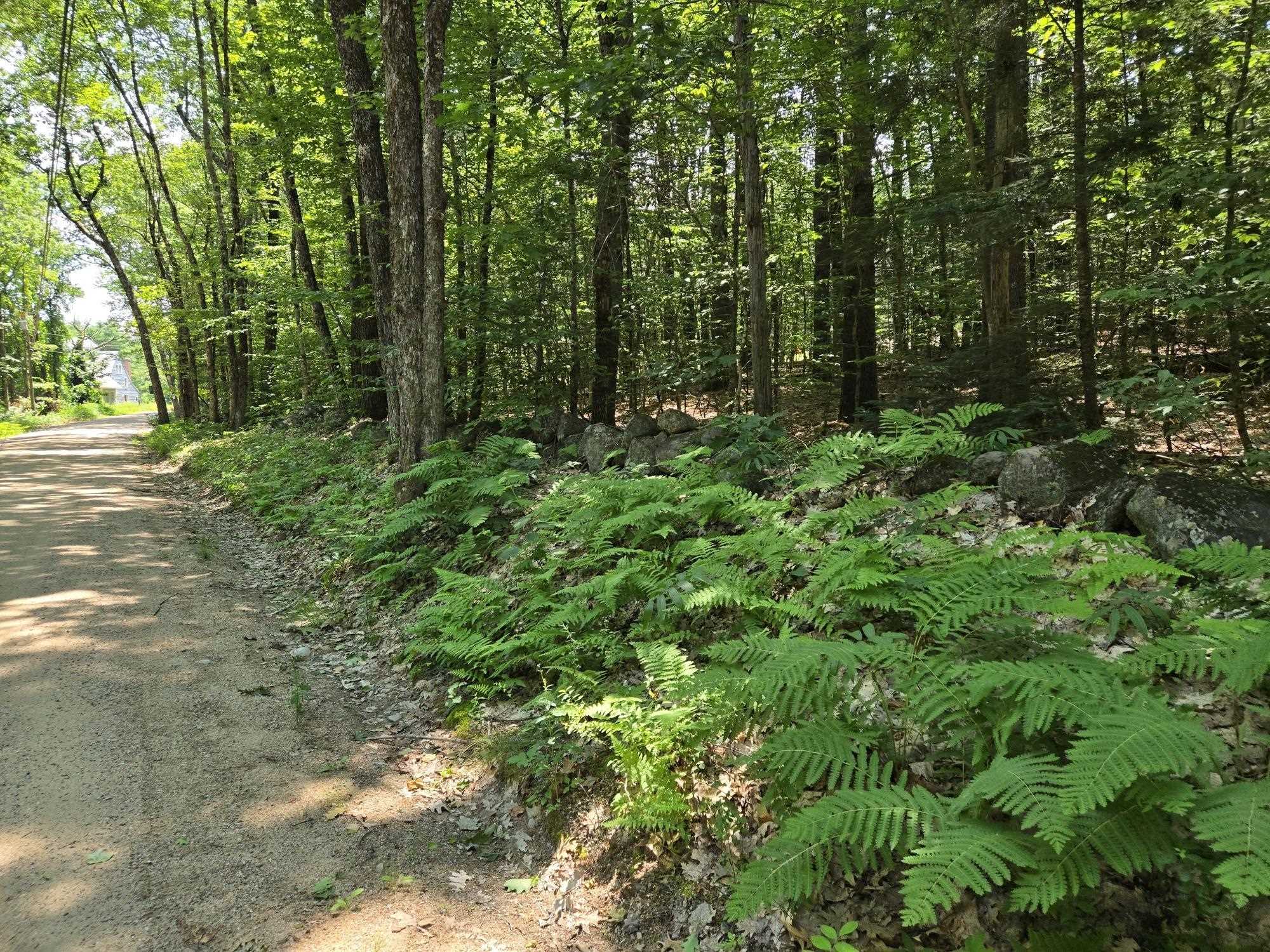 Lot 26 Davis Hill Road