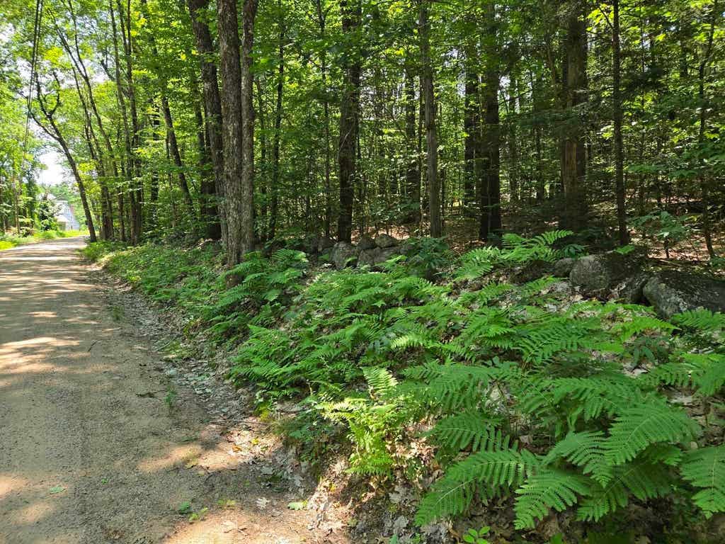Photo of 26 Davis Hill Road, Conway, NH 03813 (MLS # 5100796)