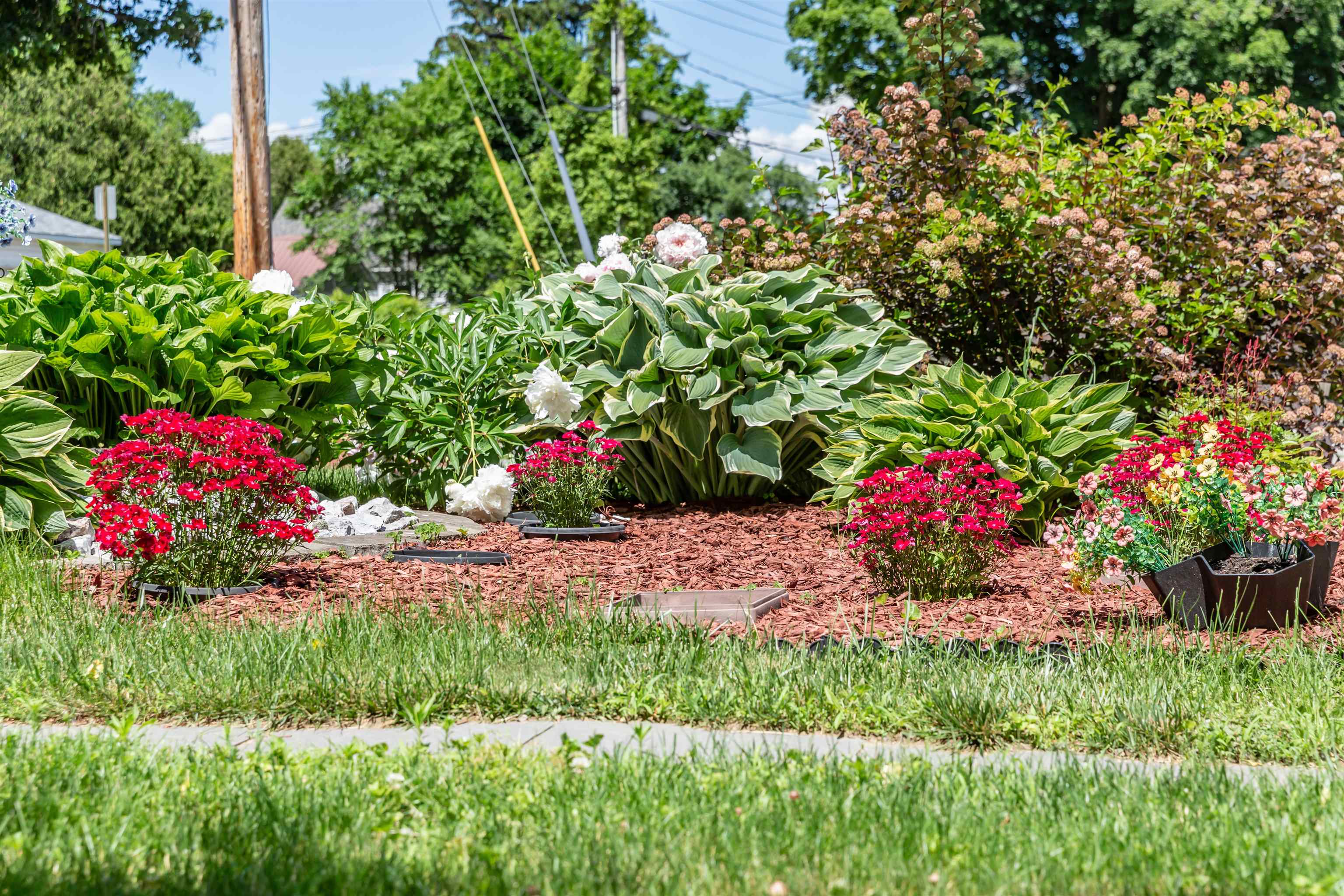 28 Millham Court - Photo 4