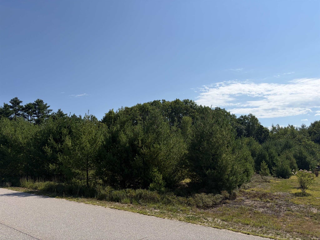 Photo of Village Valley Drive, Wakefield, NH 03830 (MLS # 5112753)