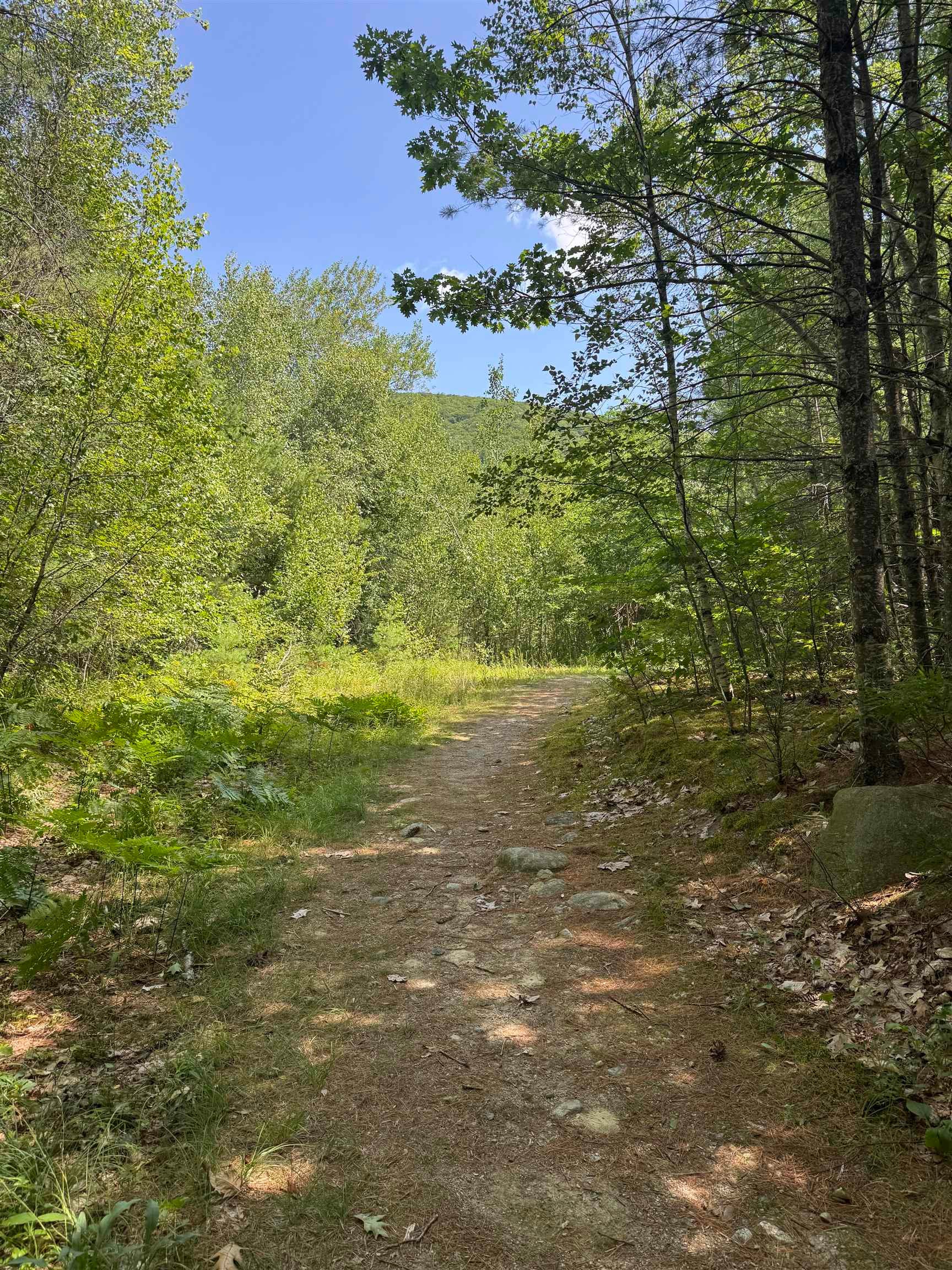 Lot 154-2 Old Mountain Road