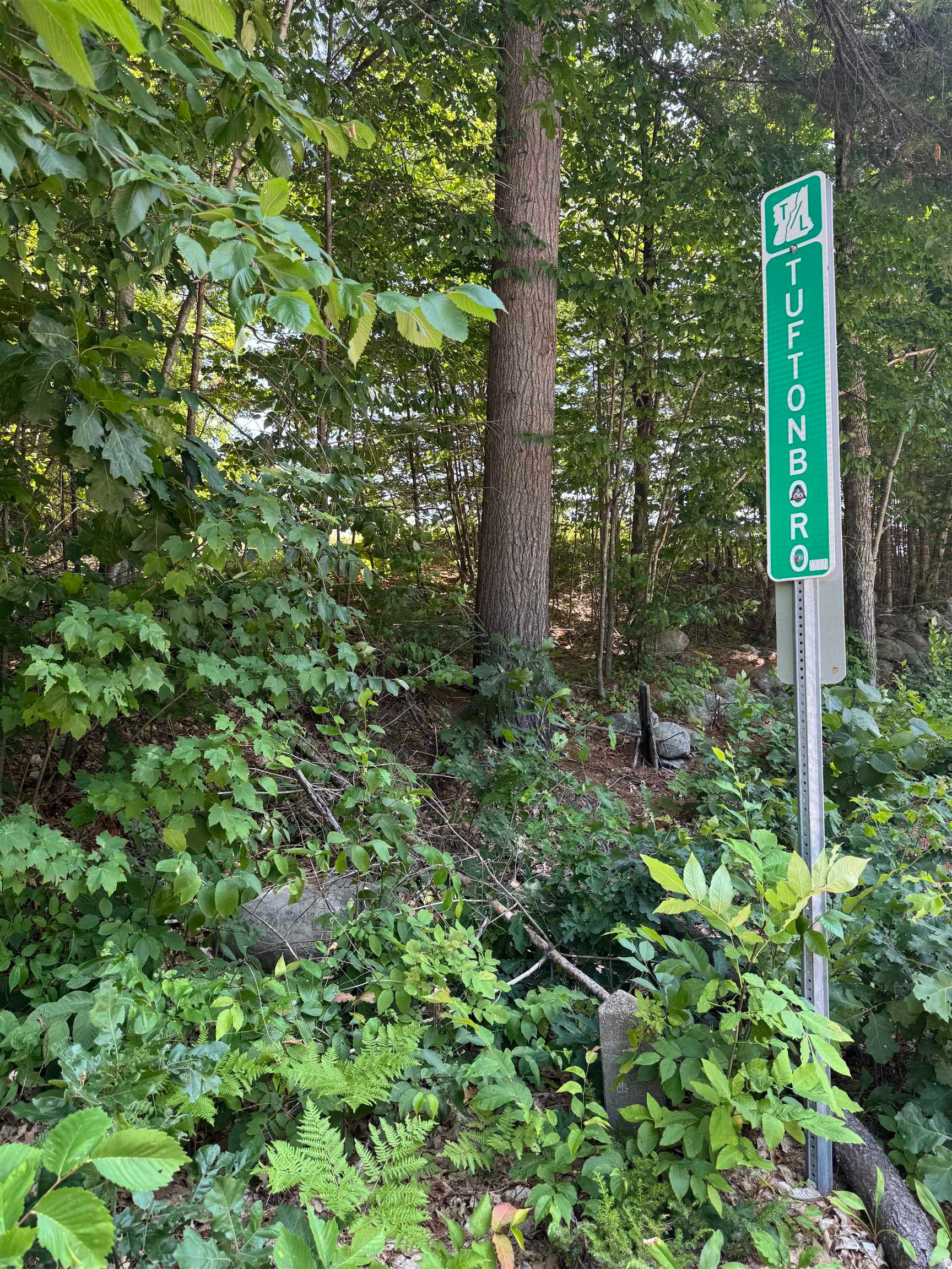 Lot 154-2 Old Mountain Road