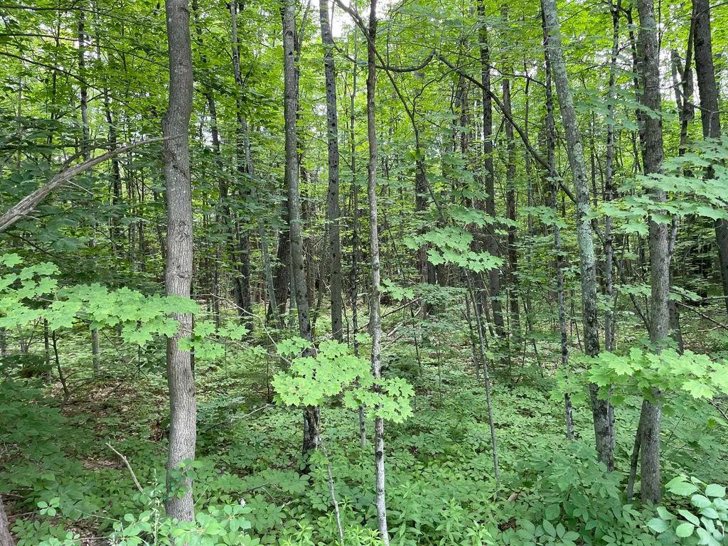 Photo of 4183 Old Peterborough Road, Dublin, NH 03444 (MLS # 5094483)