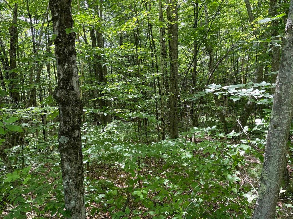 Photo of 4183 Old Peterborough Road, Dublin, NH 03444 (MLS # 5094483)