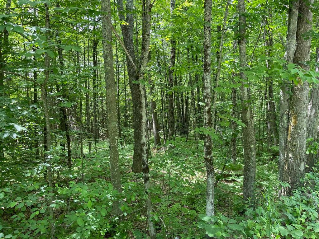 Photo of 4183 Old Peterborough Road, Dublin, NH 03444 (MLS # 5094483)