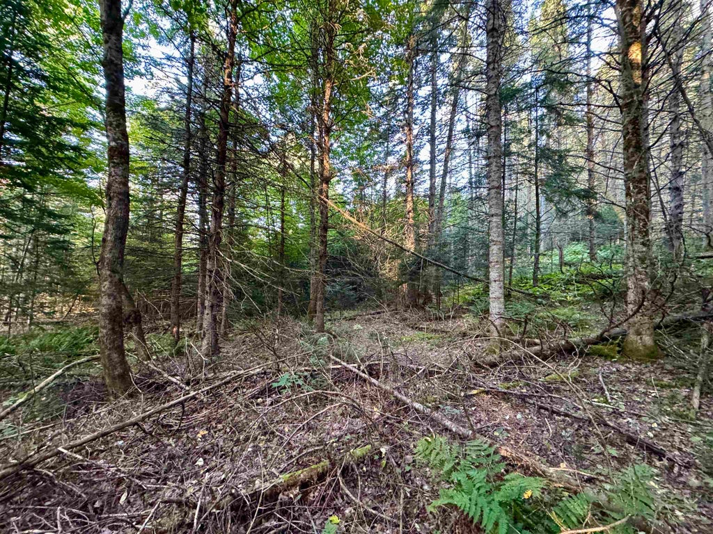 Photo of 6 Jennings Road, Colebrook, NH 03576 (MLS # 5110830)
