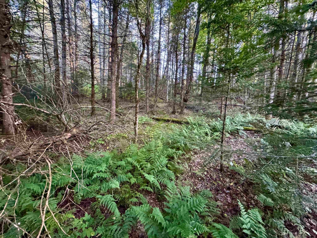 Photo of 6 Jennings Road, Colebrook, NH 03576 (MLS # 5110830)