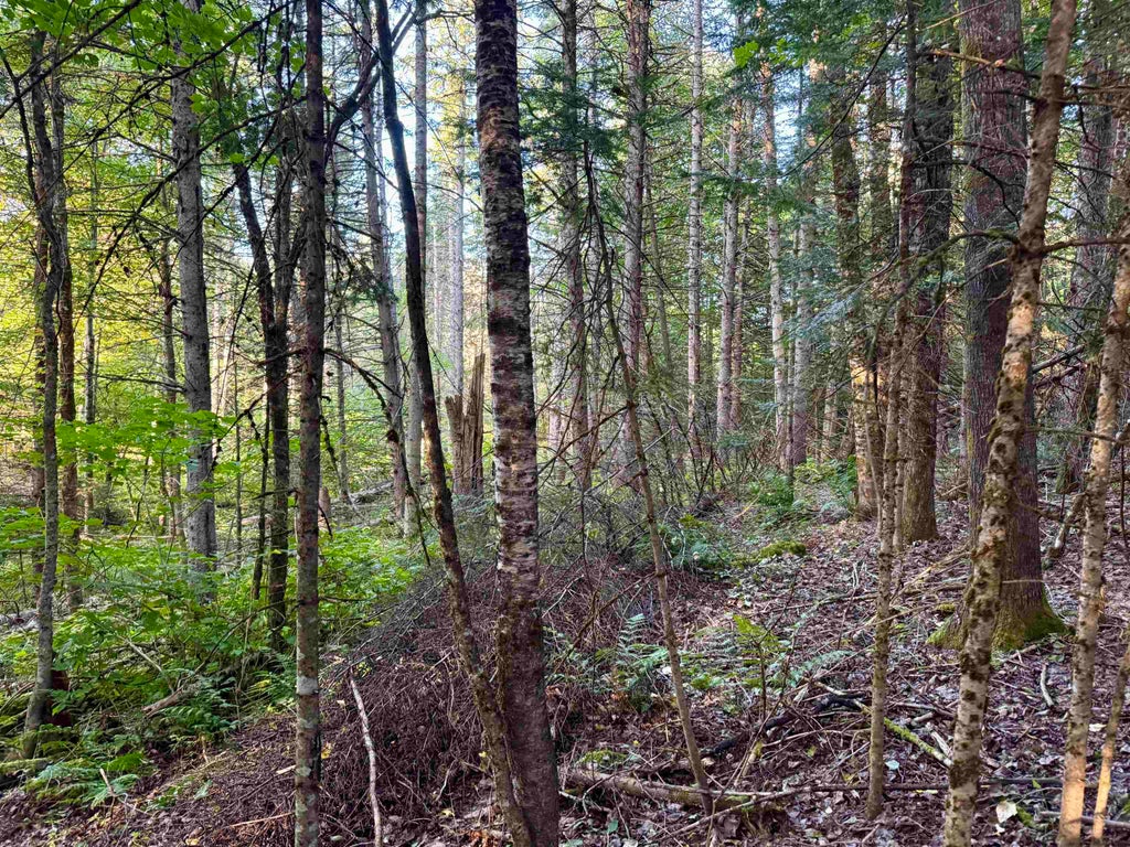 Photo of 6 Jennings Road, Colebrook, NH 03576 (MLS # 5110830)