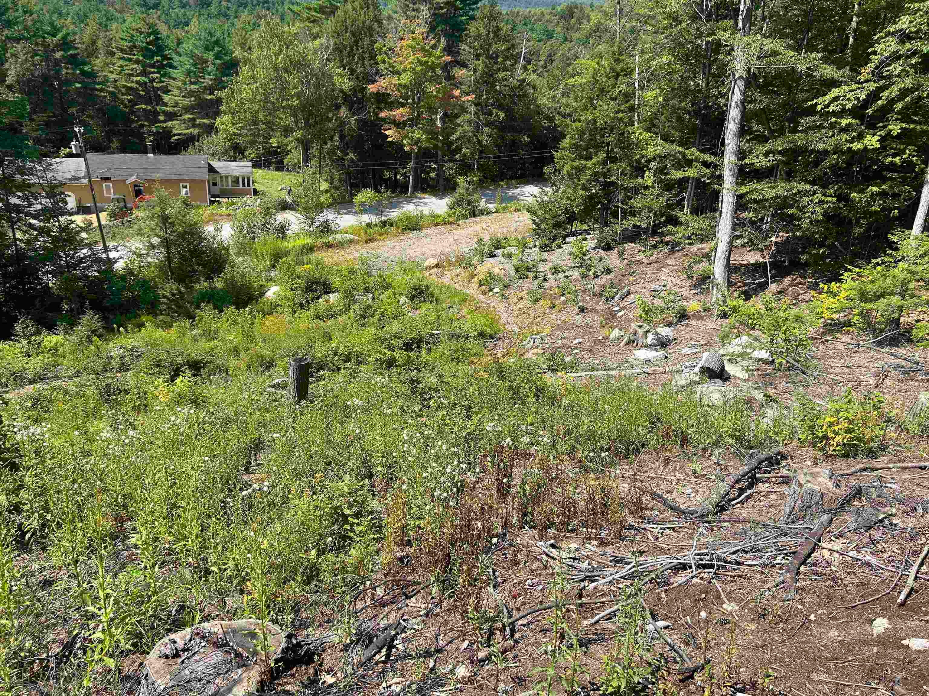 543 Thorn Hill Road