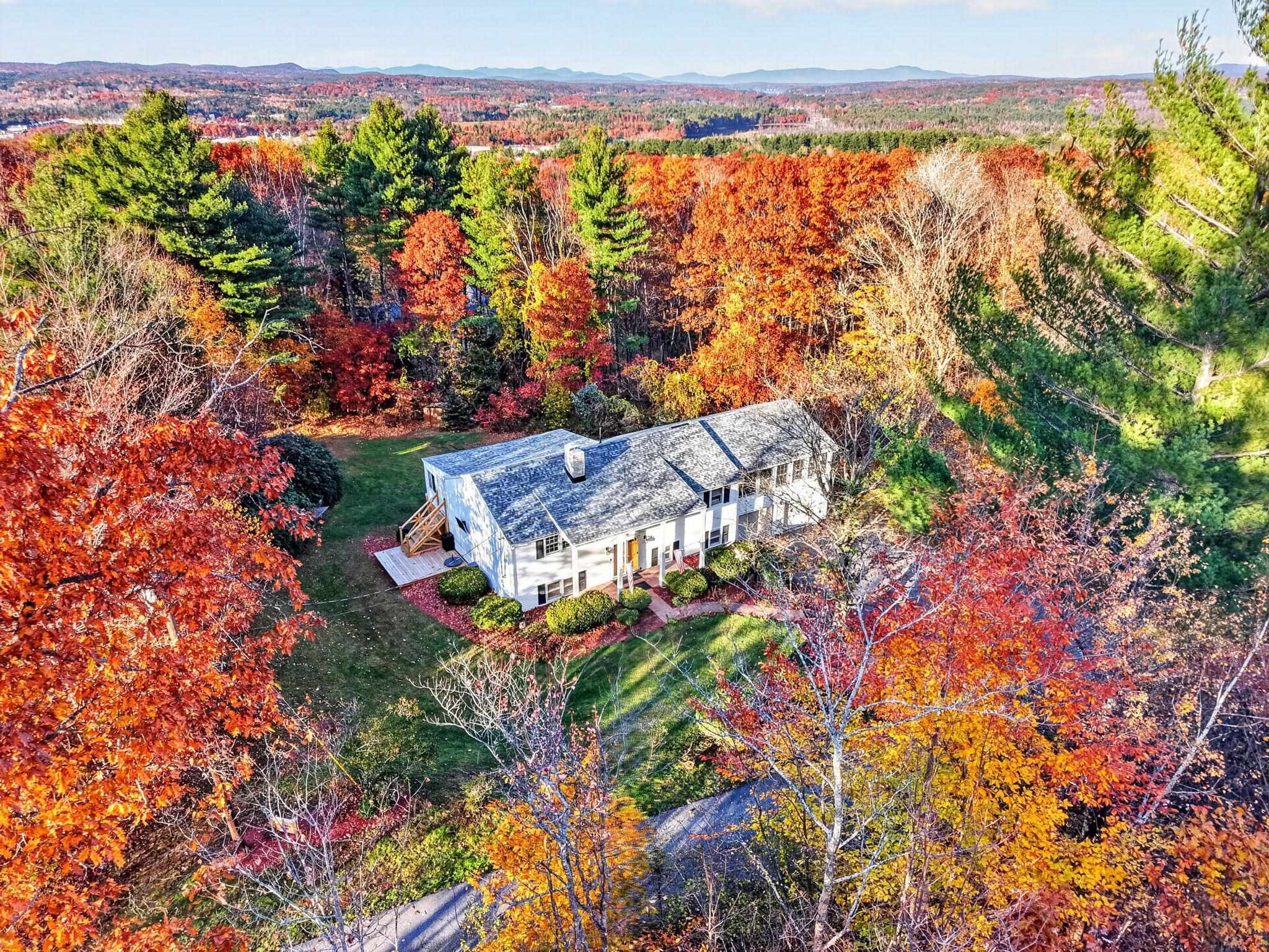 15 Blueberry Lane
