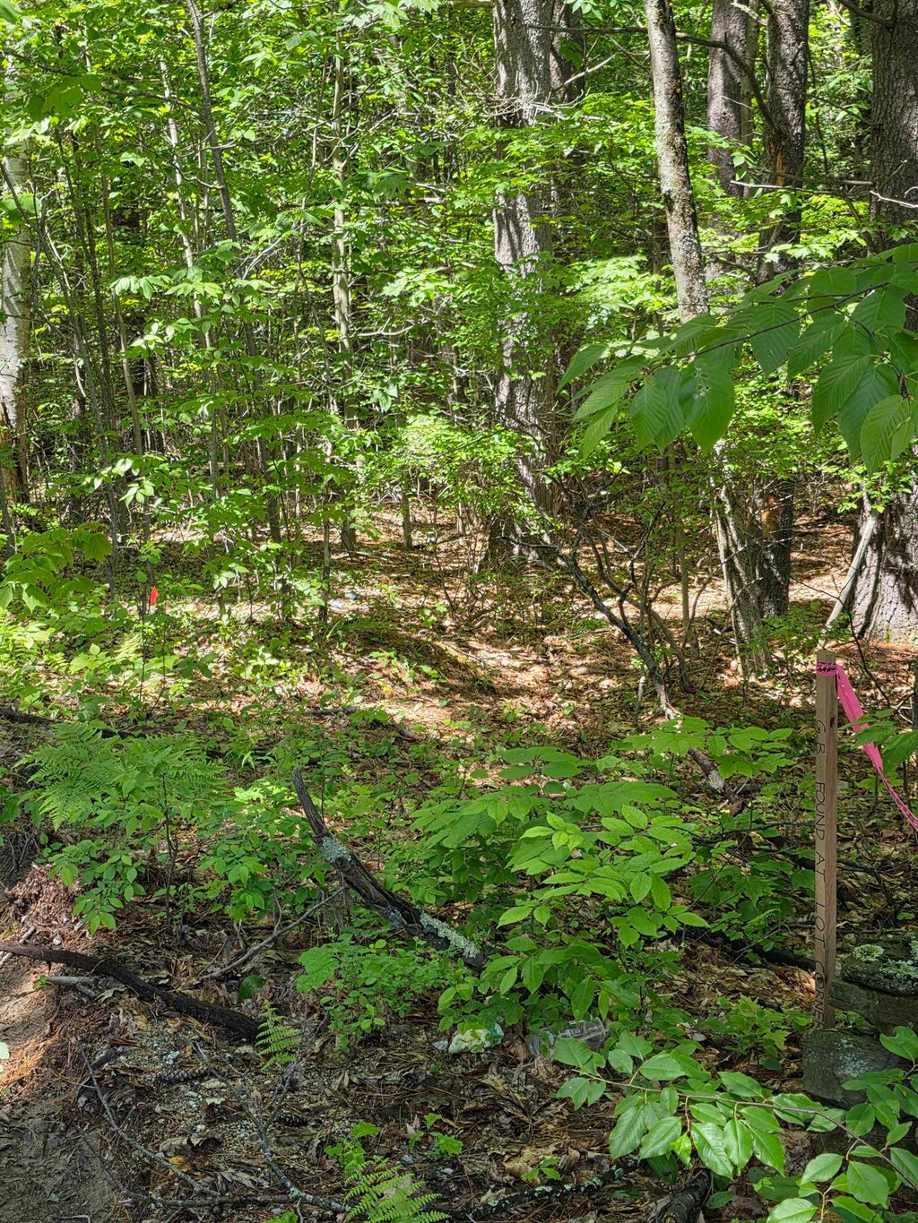 Photo of 1082 Stowell Road #10-8-2, New Ipswich, NH 03071 (MLS # 5092692)