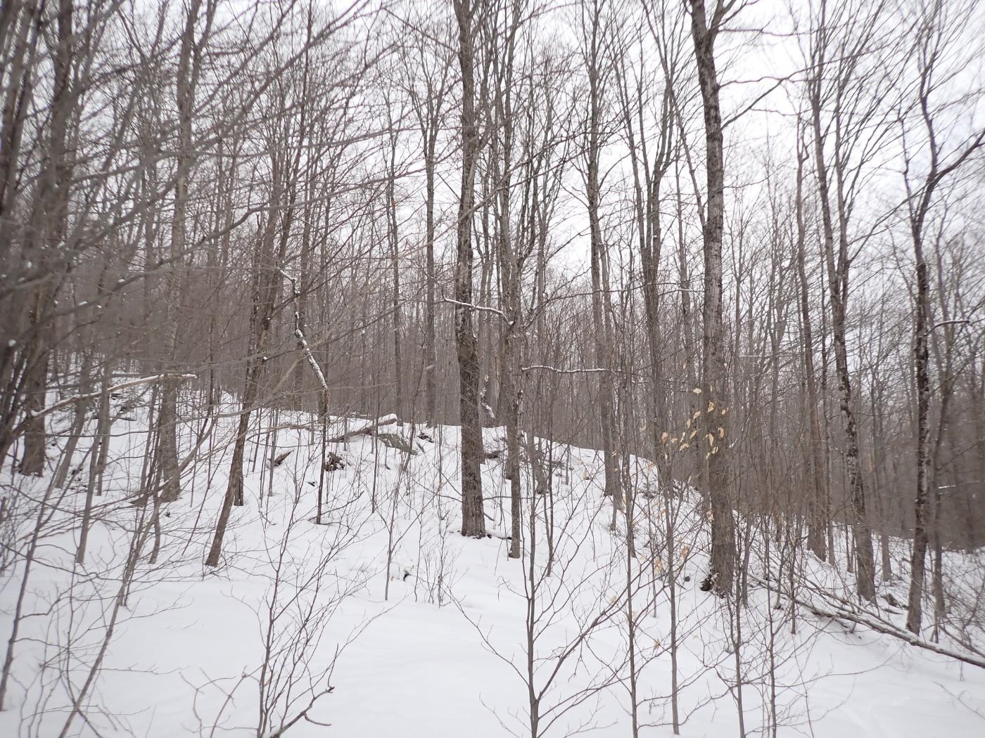 00 Plunkton Road - Photo 2