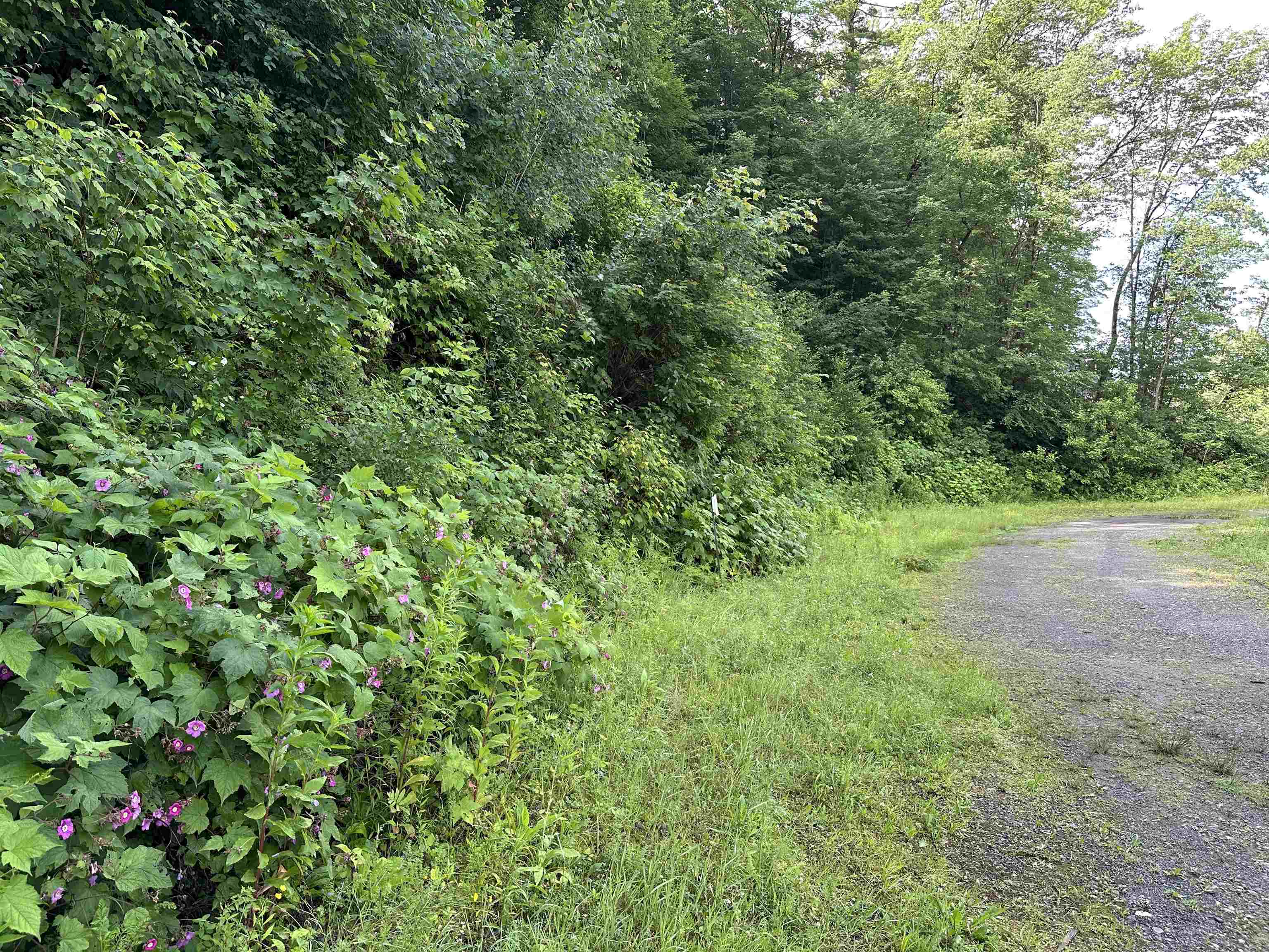 277 South Main Street - Photo 2