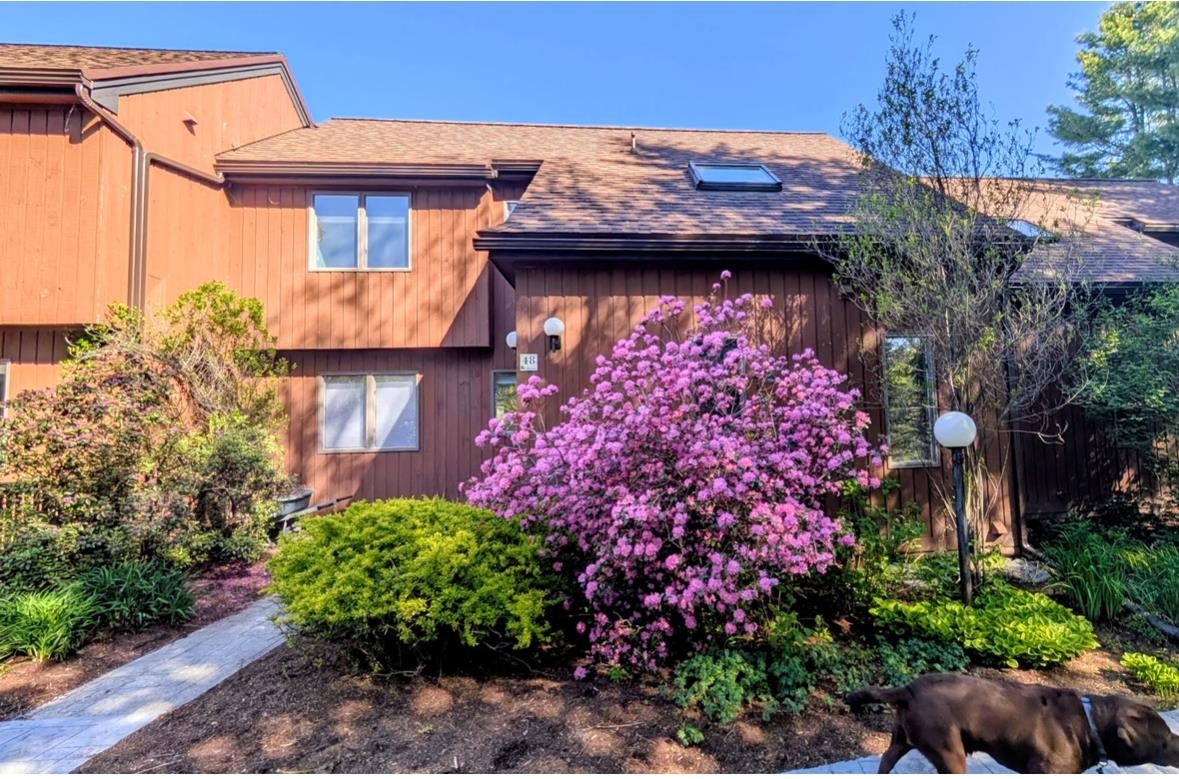 8 Wildlife Road 48