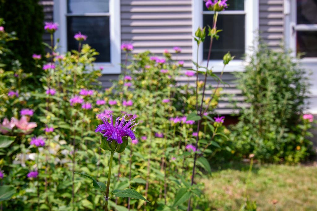 Photo of 85 Highland Avenue, Hinsdale, NH 03451 (MLS # 5105076)
