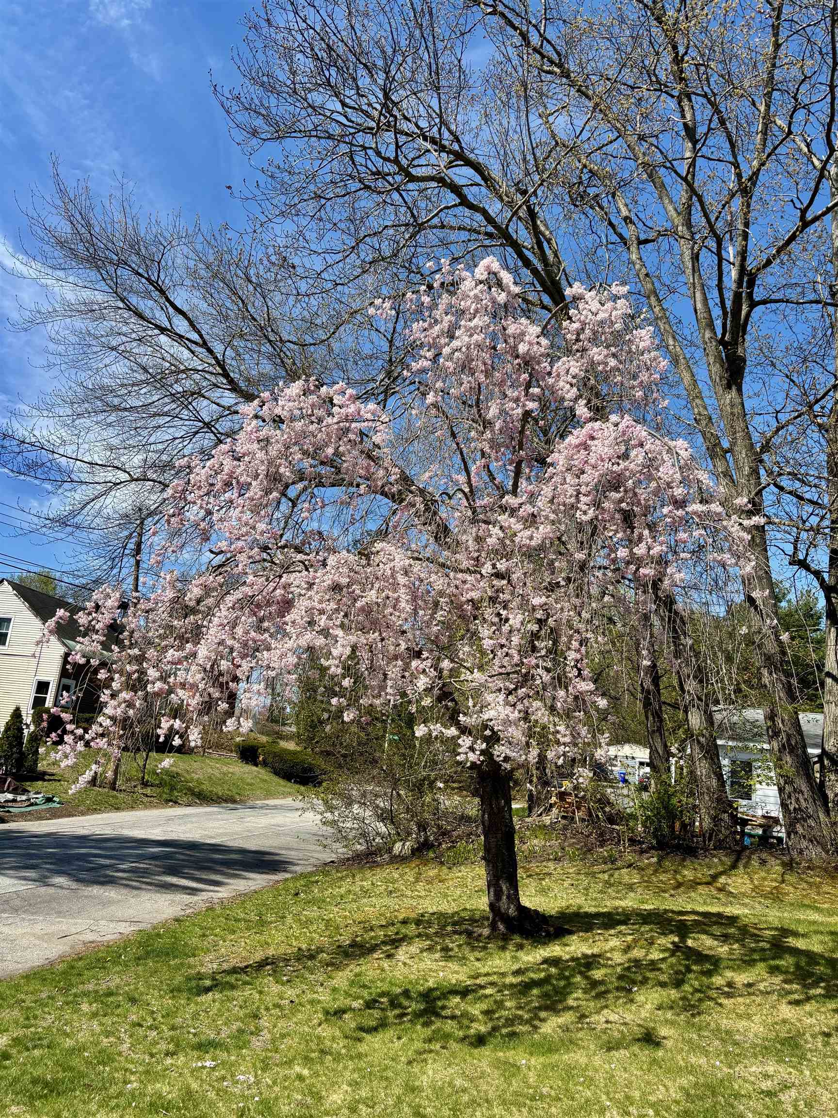 108 Peak Street