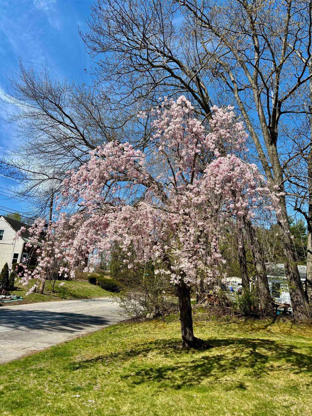 Photo of 108 Peak Street, Manchester, NH 03104 (MLS # 5093740)