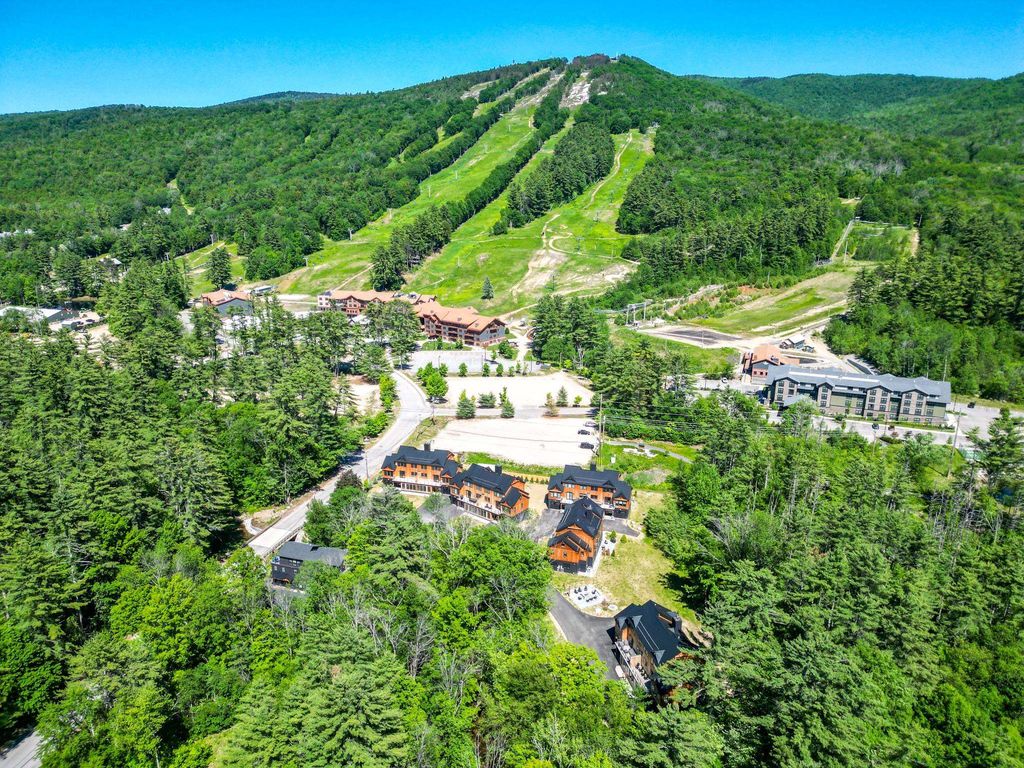 Photo of 7 Black Diamond Road, Conway, NH 03860 (MLS # 5094503)