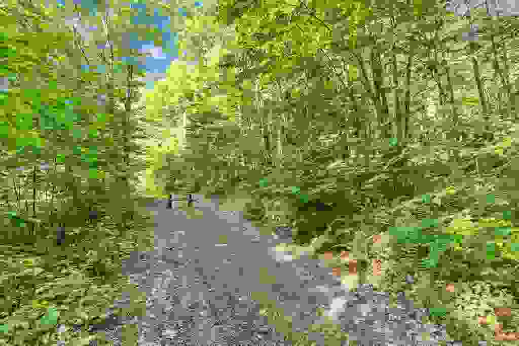 Photo of 101 Gilsum Road #2, Sullivan, NH 03445 (MLS # 5093283)