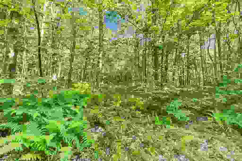 Photo of 101 Gilsum Road #2, Sullivan, NH 03445 (MLS # 5093283)