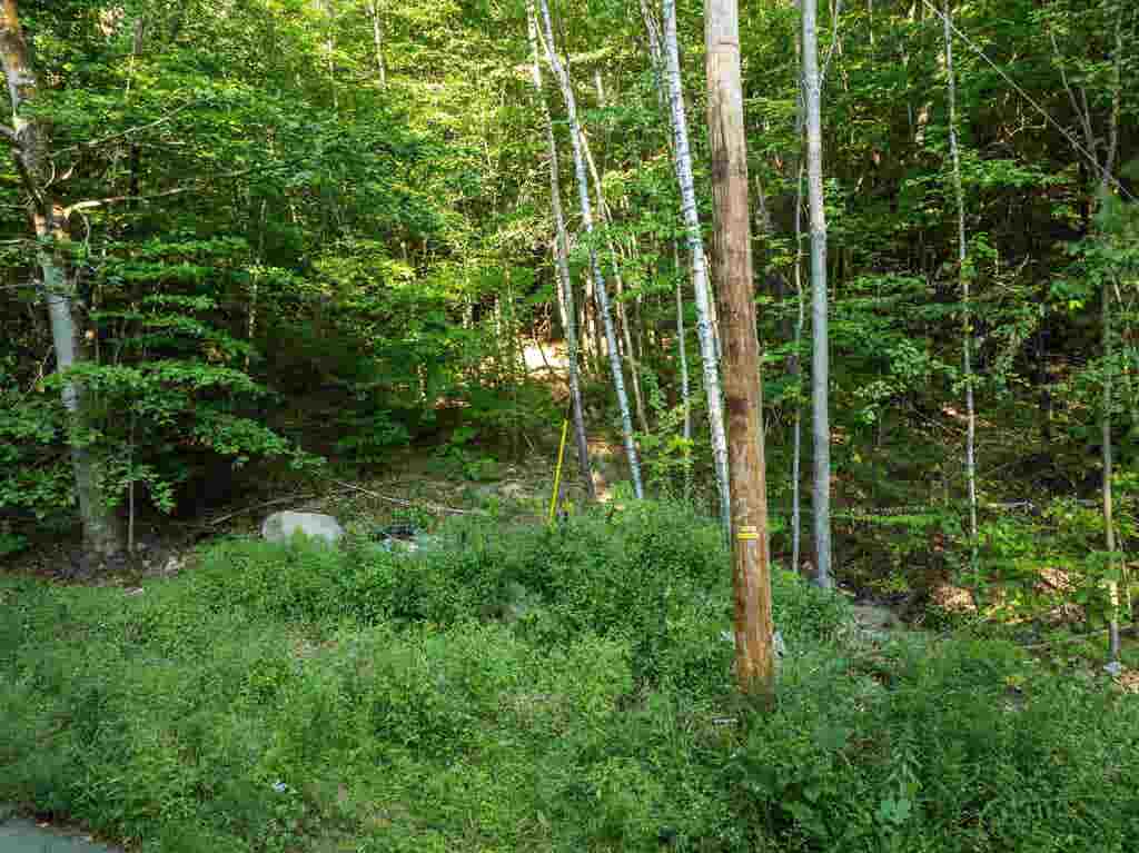 Photo of 139 Tate Road, Gilford, NH 03249 (MLS # 5081812)