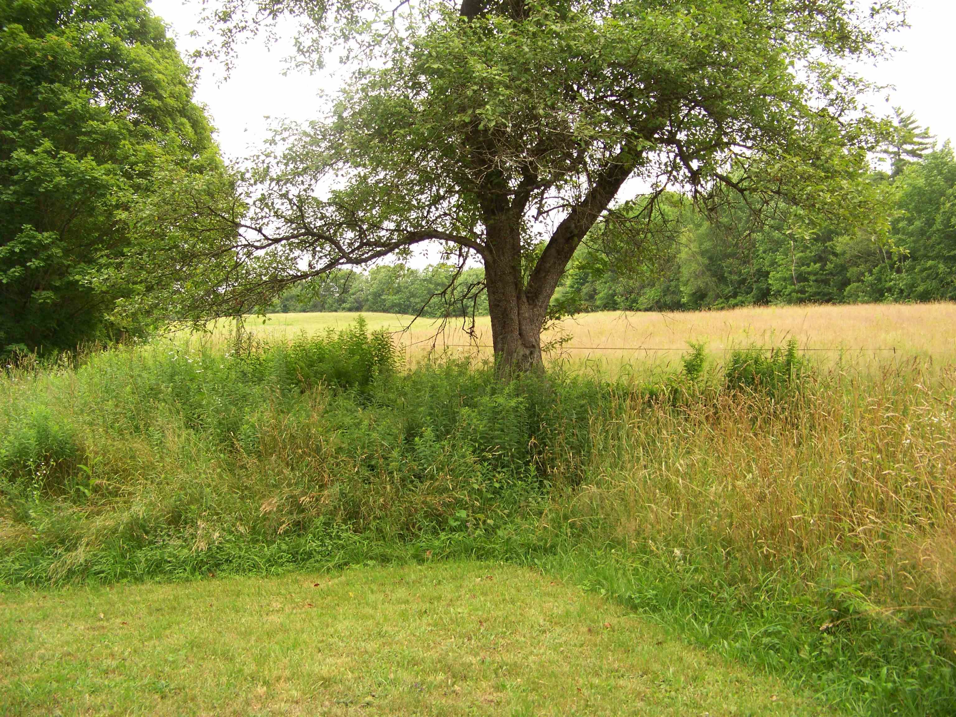 340 Upper Michigan Road