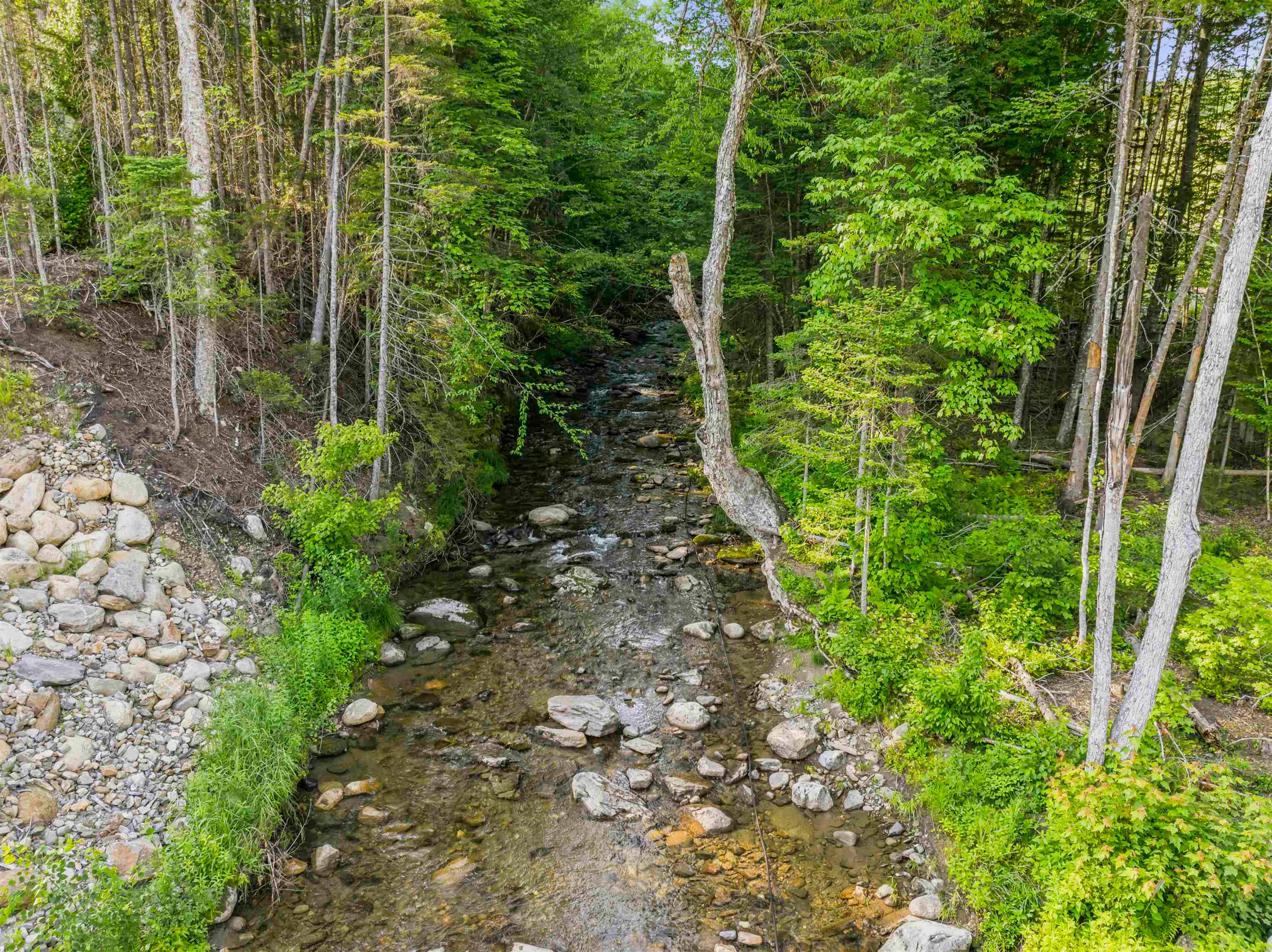 LOT 1 Ginnie Lane R020-0010-0001