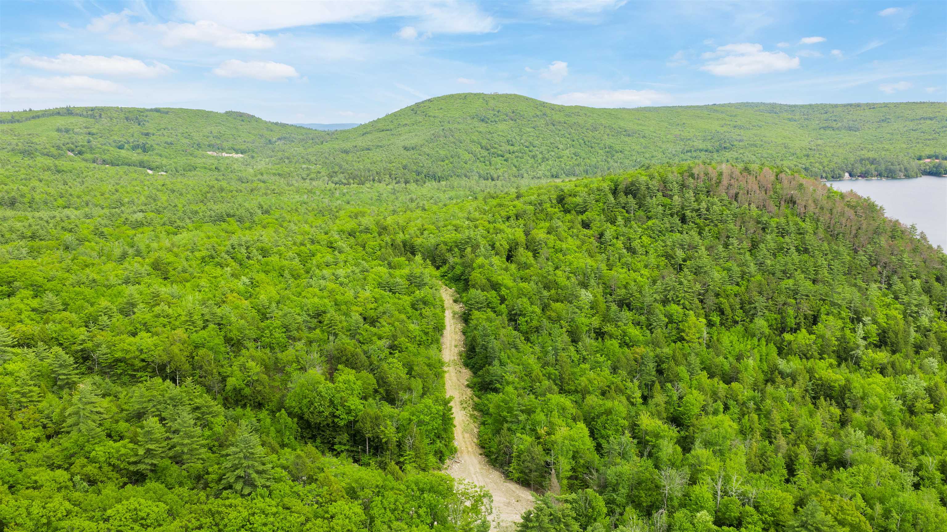 00 Pine Point Road