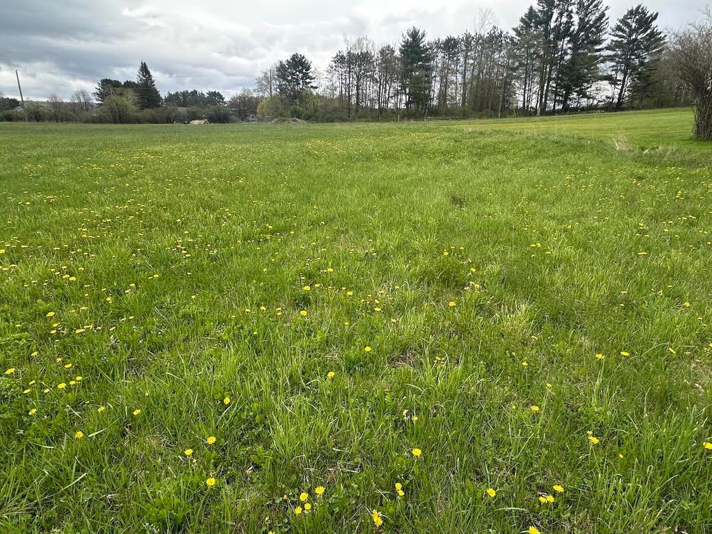 Photo of 0 Brushwood Road, Haverhill, NH 03765 (MLS # 5088748)