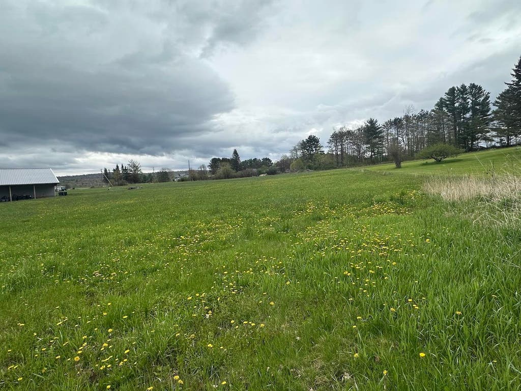 Photo of 0 Brushwood Road, Haverhill, NH 03765 (MLS # 5088748)