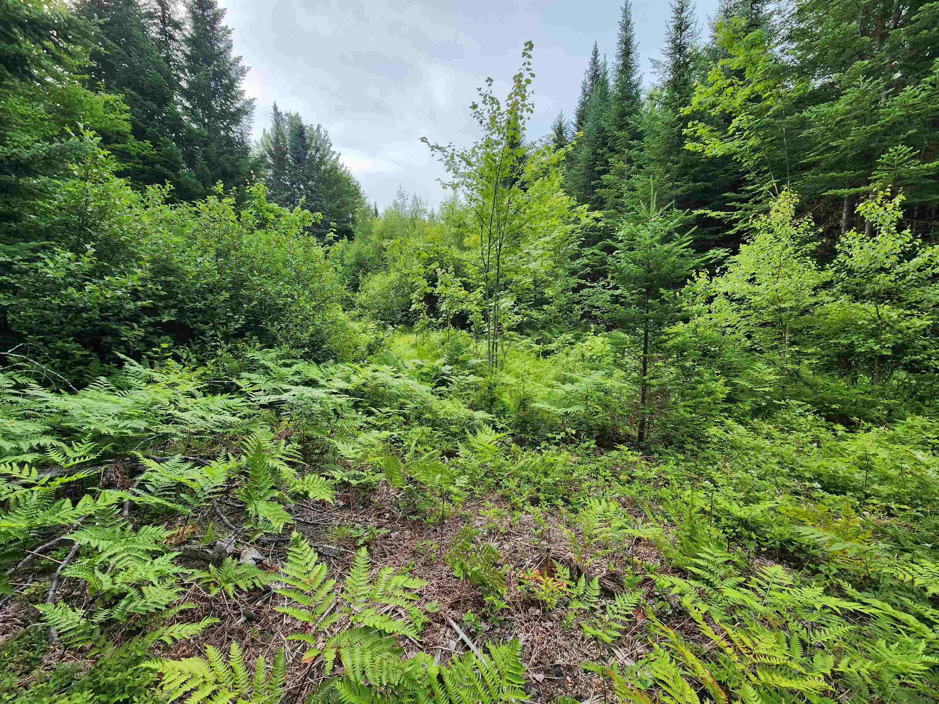 Lot 3 North Mountain Pond Road R11/2-1