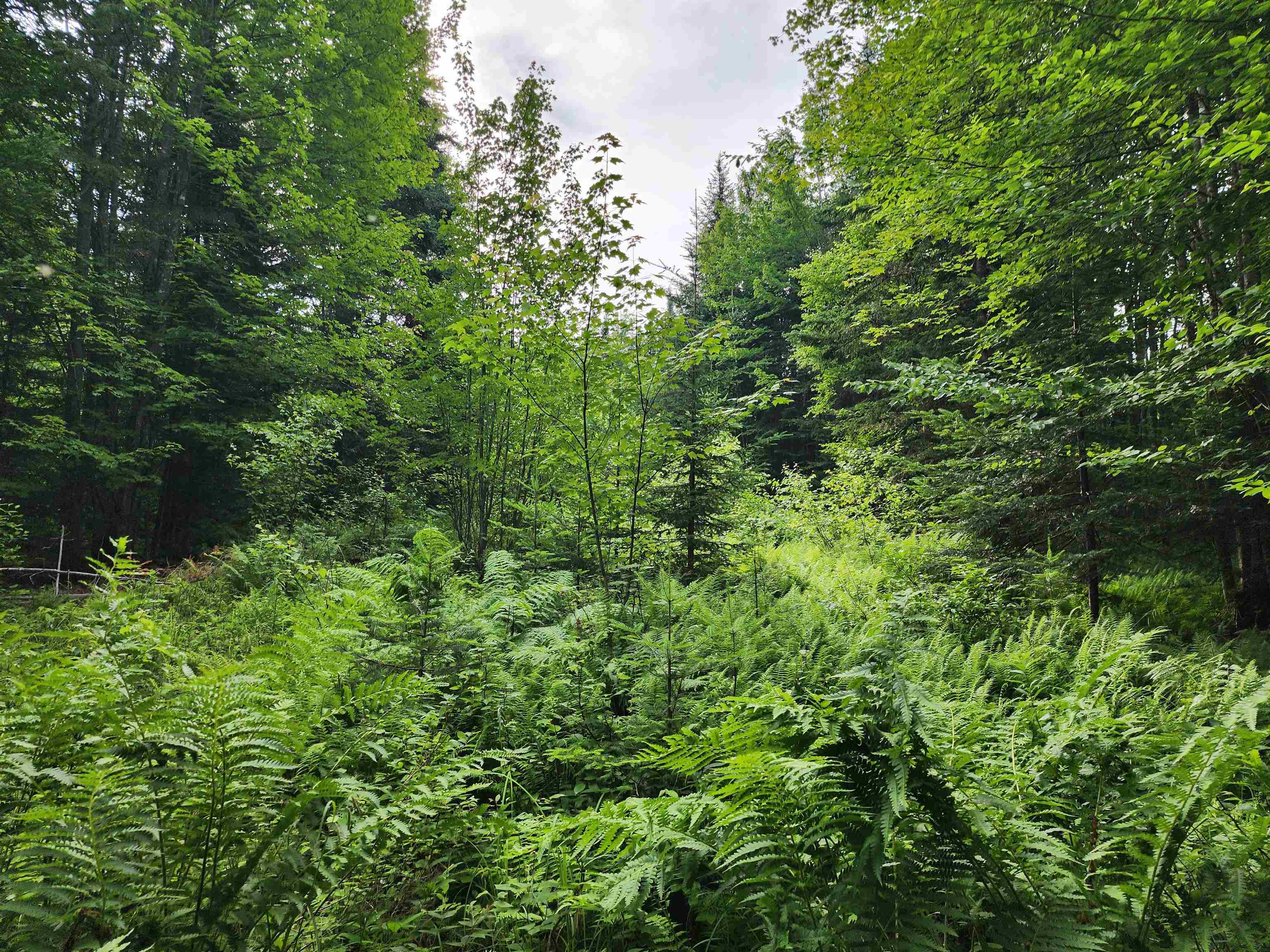Lot 3 North Mountain Pond Road R11/2-1