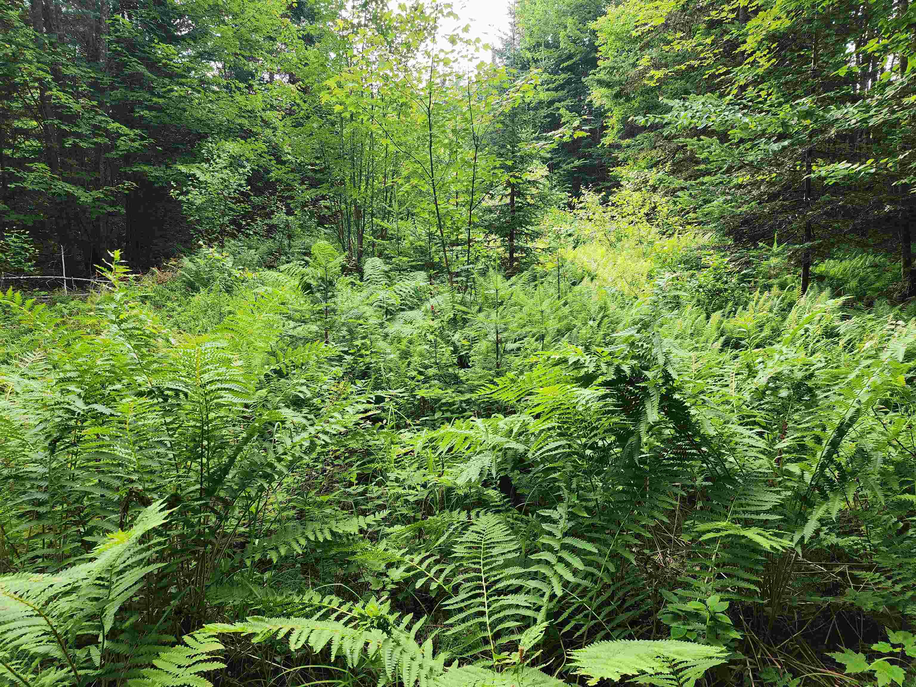 Lot 3 North Mountain Pond Road R11/2-1