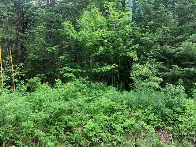 Photo of TBD Griffin Road, Stewartstown, NH 03576 (MLS # 5095693)