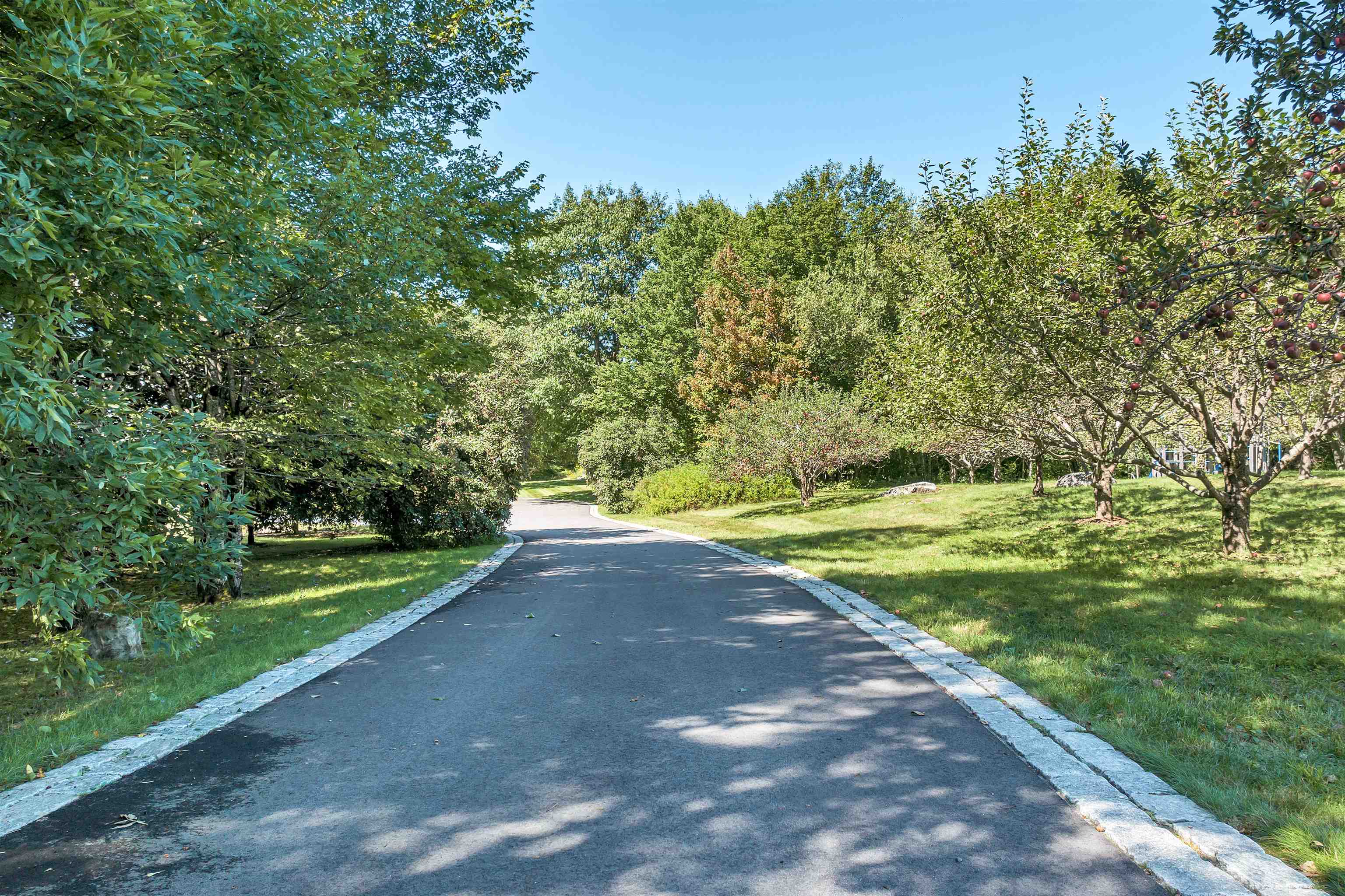137 Brown Road 4