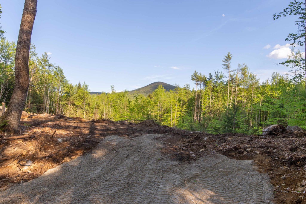 Photo of 00 Elijah Beede Road, Sandwich, NH 03227 (MLS # 5091832)