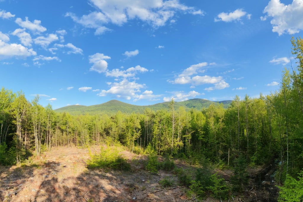 Photo of 00 Elijah Beede Road, Sandwich, NH 03227 (MLS # 5091832)