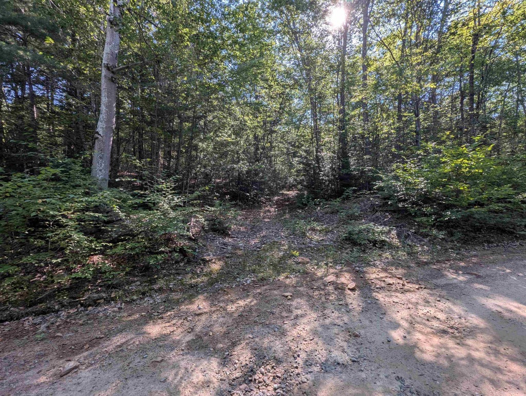 Photo of 4125 Jewett Road, Weare, NH 03281 (MLS # 5107642)