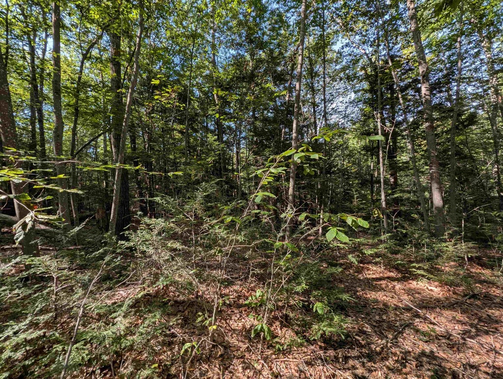 Photo of 4125 Jewett Road, Weare, NH 03281 (MLS # 5107642)