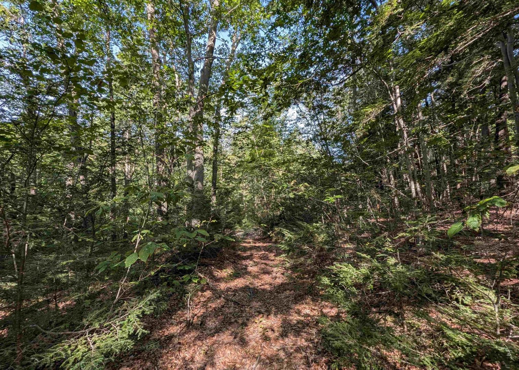 Photo of 4125 Jewett Road, Weare, NH 03281 (MLS # 5107642)