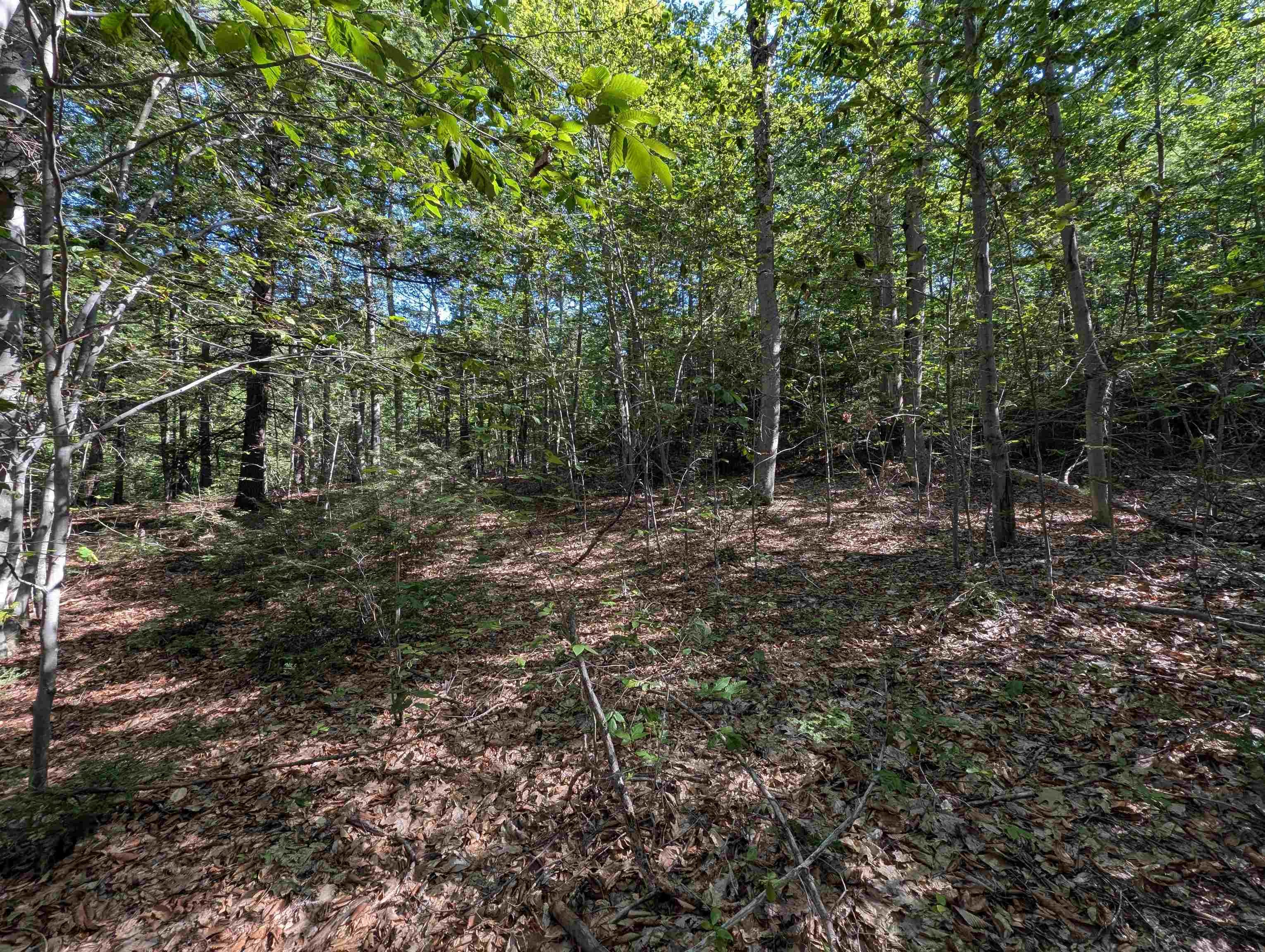 Map 41 Lot 25 Jewett Road
