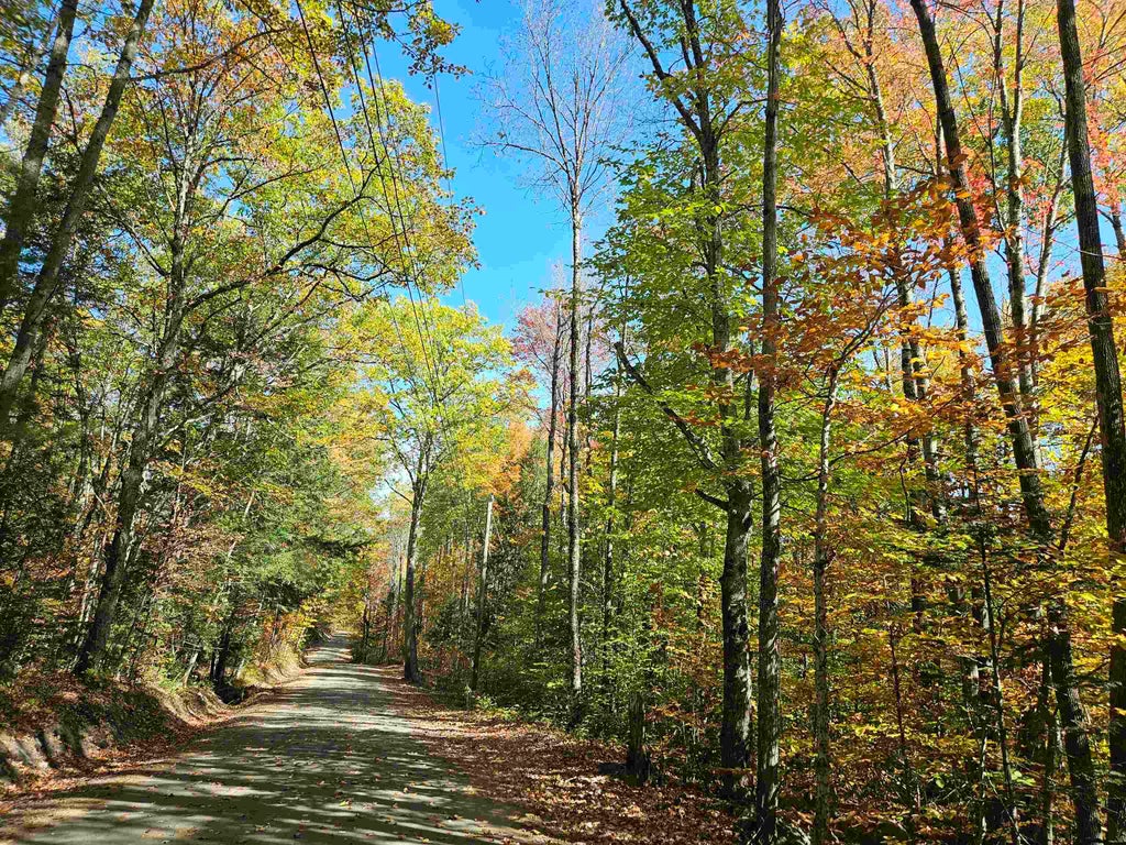 Photo of 90 Faraway Road, Dalton, NH 03598 (MLS # 4991405)