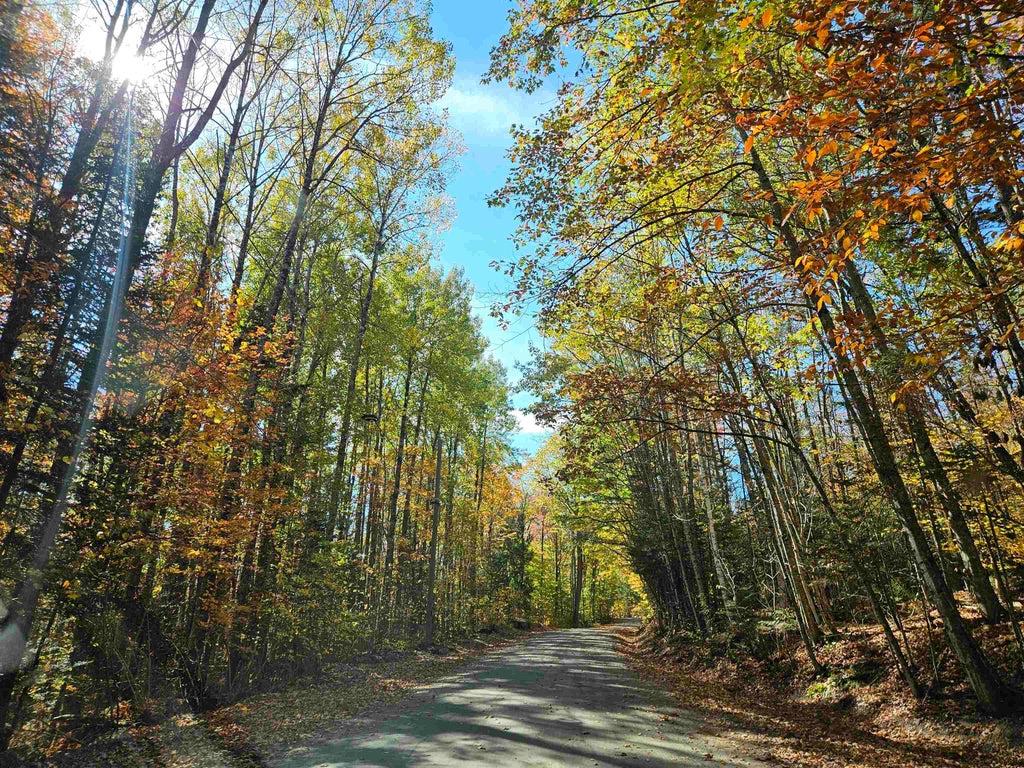 Photo of 90 Faraway Road, Dalton, NH 03598 (MLS # 4991405)