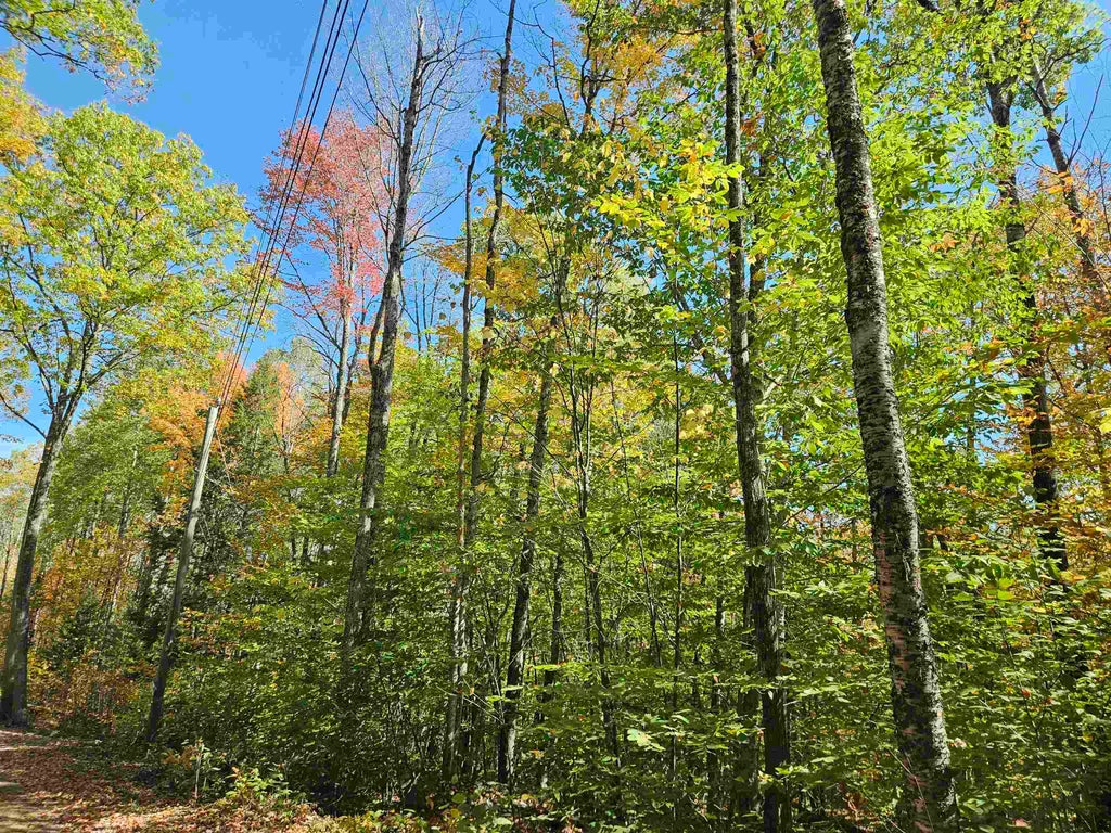Photo of 90 Faraway Road, Dalton, NH 03598 (MLS # 4991405)