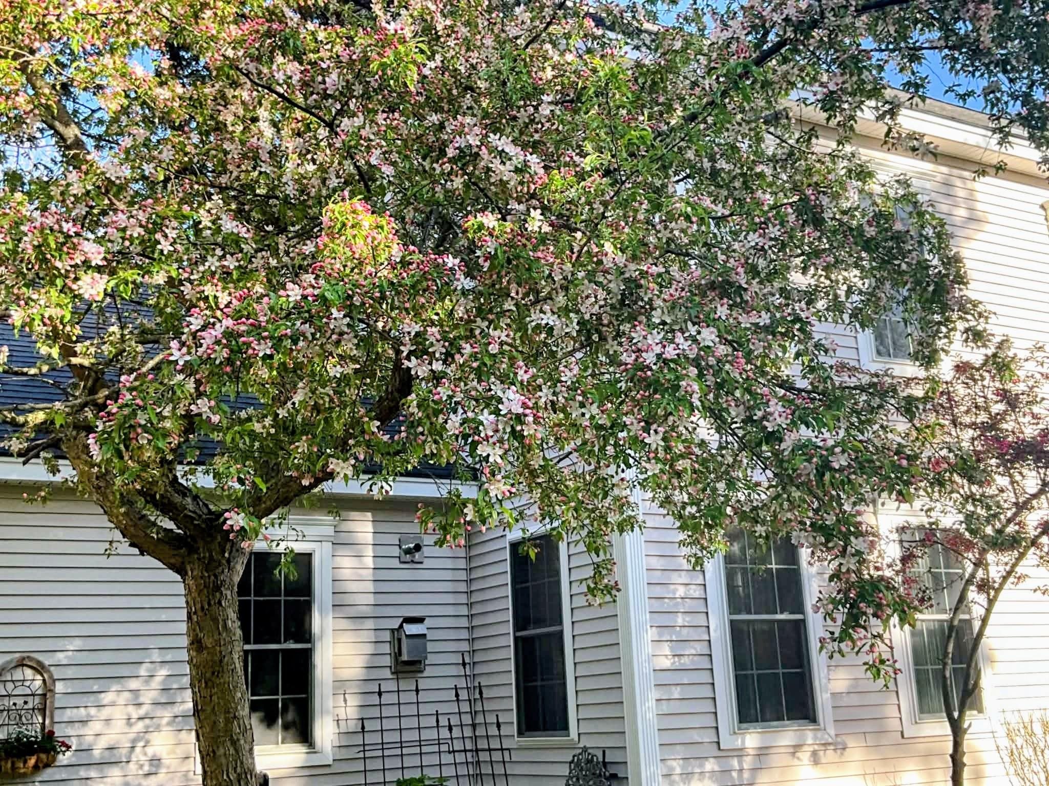 58 Pointe Trinity Drive