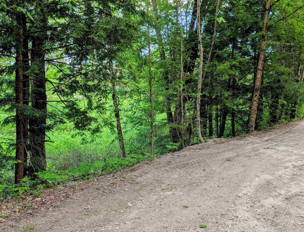 Photo of 00 Access Road, Wakefield, NH 03887 (MLS # 5091569)