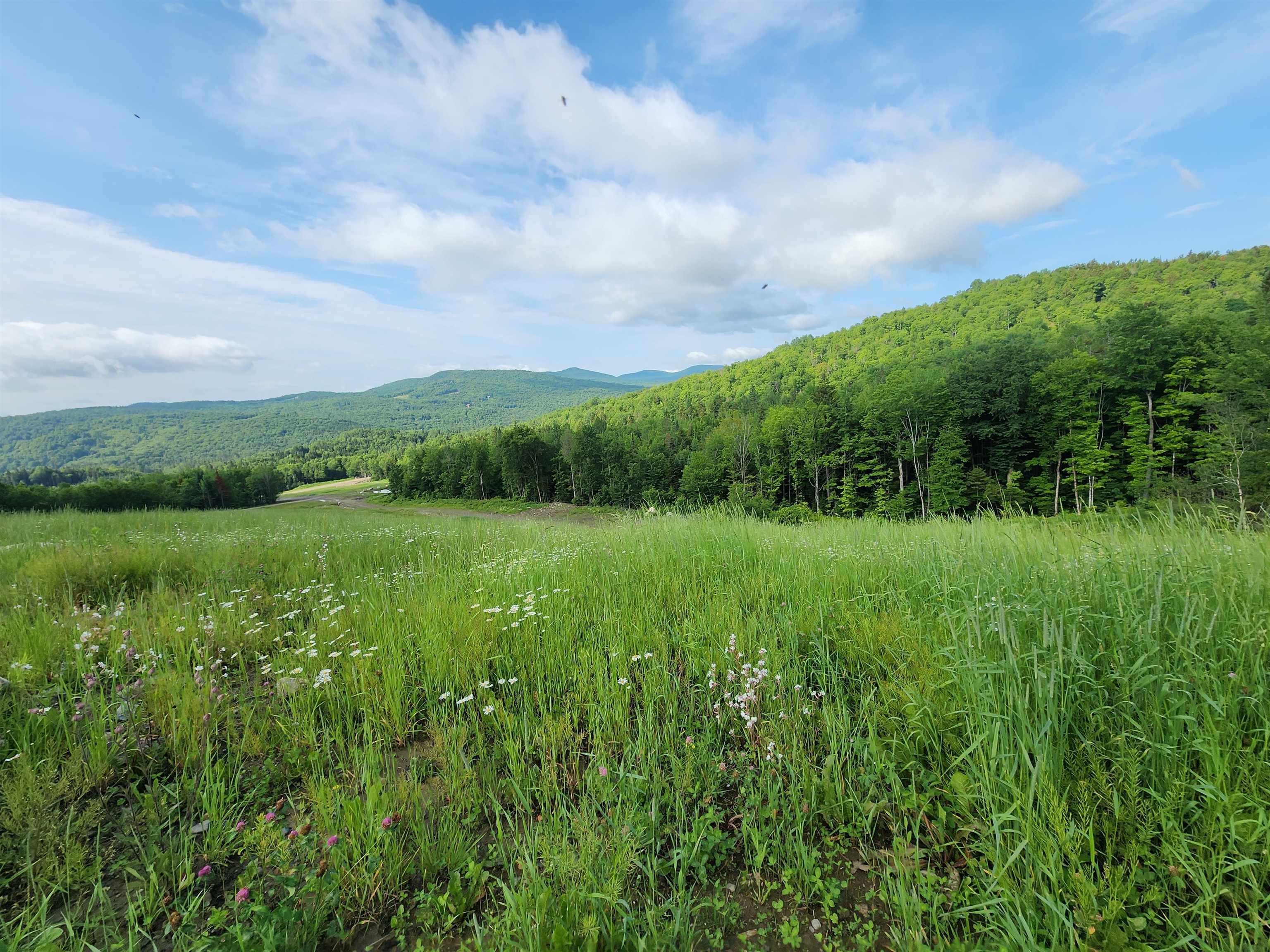LOT 3 Ginnie Lane R020-0010-0003